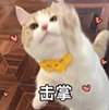 微信图片_20231010152057.jpg